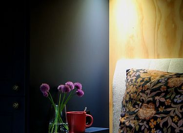 Nature cottage in Westerwolde (2p) - 36