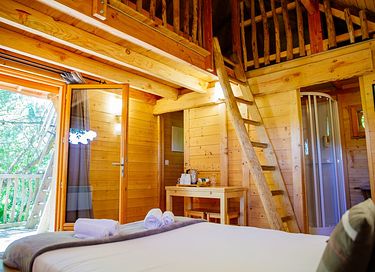 Boomhut met panoramisch uitzicht - 7