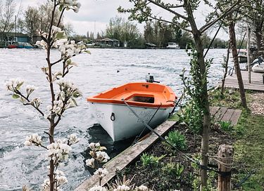 Uniek privé-eiland met tiny house & salonboot - 39