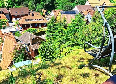 Romantic holiday home in the Harz Mountains - 3