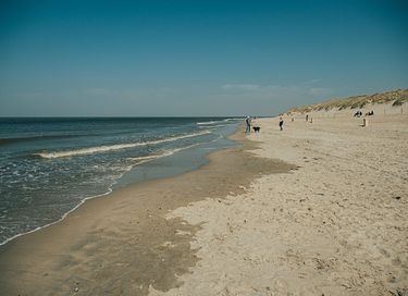 Tiny house op loopafstand van strand en zee - 29