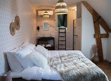 Luxe kamer in monumentaal boetiekhotel  - 1