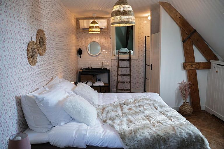 Luxe kamer in monumentaal boetiekhotel  - 1