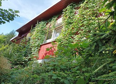 Forest cabin with private sauna - 25