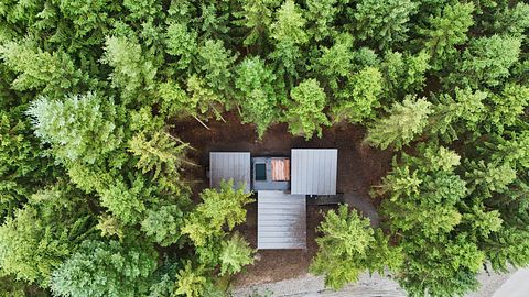 Luxury treehouse with sauna in the Ardennes - 3