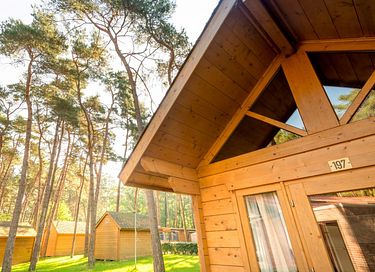 Trekkershut voor 4 personen in het bos - 4