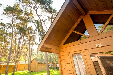 Trekkershut voor 4 personen in het bos - 4