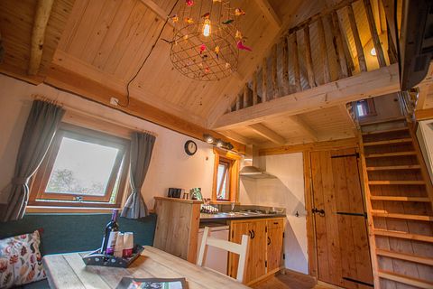 Baumhaus für 5 Personen in Overijssel - 3