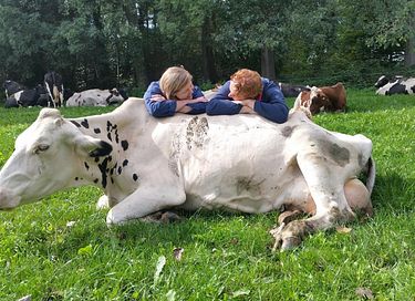 Wellness en weids uitzicht in het groen - 20