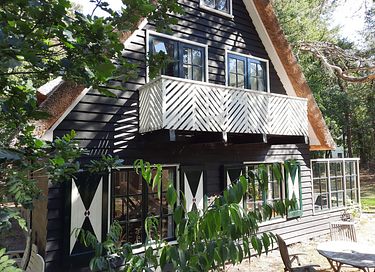Fairytale forest cottage in Drenthe - 2
