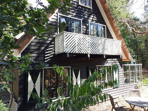 Fairytale forest cottage in Drenthe - 2