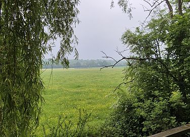 Außergewöhnliches Baumhaus direkt am Wasser - 24