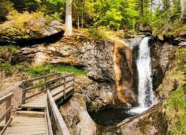 Wellness overnight stay in the Bavarian Forest - 22