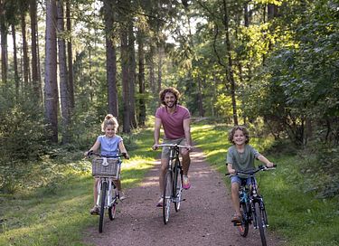 Wellnesshaus (6 P.) in Drenthe - 16