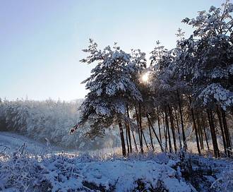 Notti speciali sulla neve