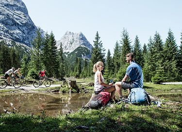 Knusse cabin voor 2 in de Alpen - 30