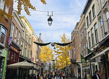 Heerlijk Tiny House aan de bosrand - 45
