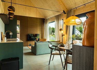 Vakantiehuis in Nederland met eigen zwembad - 15
