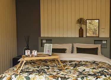 Tiny house voor 2 personen in Friesland - 6