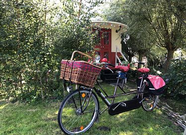Gemütlicher Zirkuswagen auf einer malerischen Insel - 18