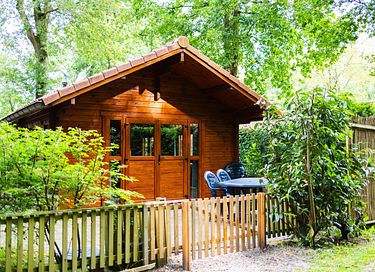 Huisdiervriendelijke blokhut (Veluwe)