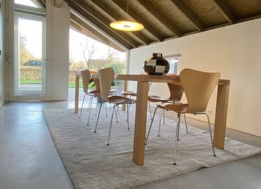 Luxe landelijk gelegen cottage in Drenthe - 9