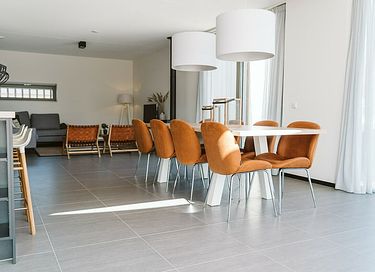 Luxe vakantiewoning omringd door de duinen - 7