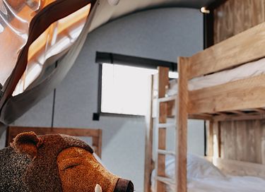 Design tent op de Veluwe voor 5 personen - 29