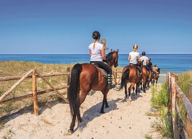Logement de vacances dans un beau parc à proximité de la mer - 28