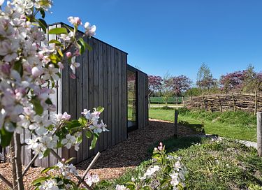 Une tiny house chaleureuse dans un cadre magnifique - 2