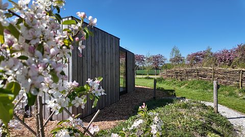 Une tiny house chaleureuse dans un cadre magnifique - 2