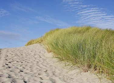 Luxuriöse Ferienvillen in Strandnähe - 20