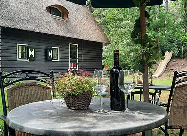 Fairytale forest cottage in Drenthe - 21
