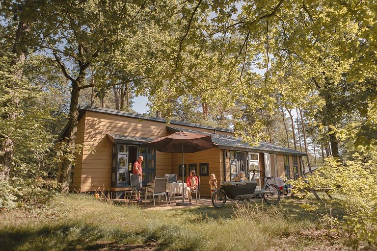 Bungalow in de natuur in Overijssel - 1