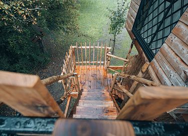 Magisch verblijf in een boomlodge - 30