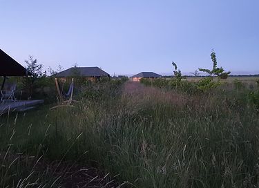 Glamping-Zelt mit Whirlpool und toller Aussicht - 4