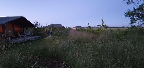 Glamping-Zelt mit Whirlpool und toller Aussicht - 4