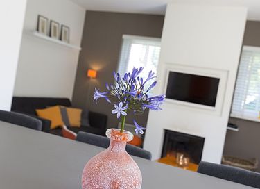 Vakantiewoning met luxe wellnesservaring - 9