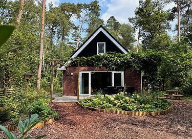 Ruim vakantiehuis in Veluwse bossen - 1