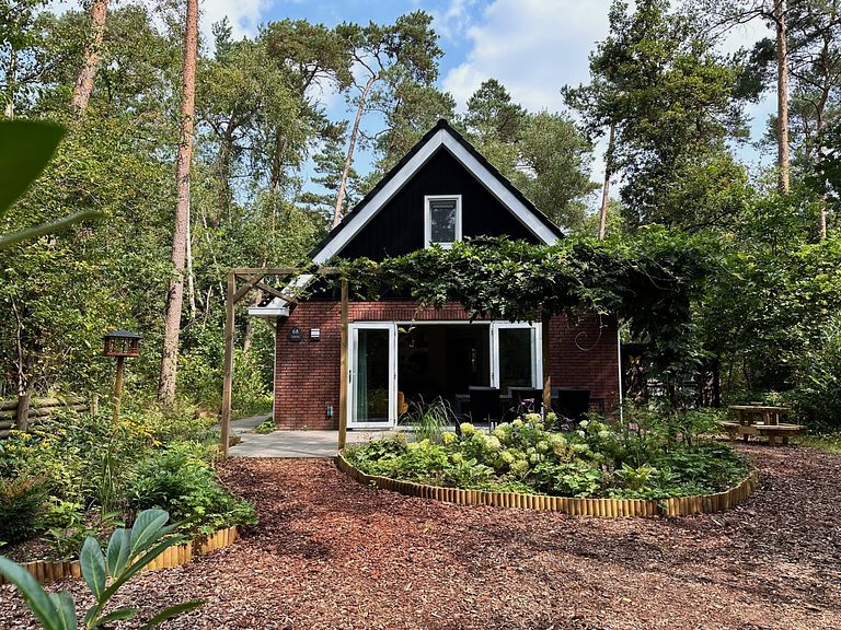 Ruim vakantiehuis in Veluwse bossen - 1