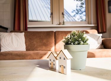 Hondvriendelijk vakantiehuis Drenthe - 10
