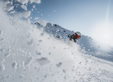 Chalet avec bar privé et sauna - 15