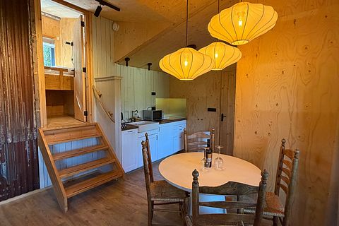Boomhut Drenthe met groot terras - 4