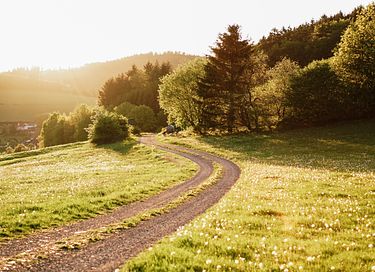 Vakantiehuis (hond toegestaan) in Sauerland - 23