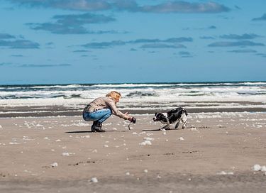 Ruime gezinsbungalow op Ameland, hond welkom - 32