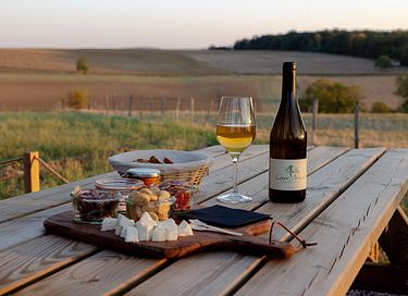 Stay in the vineyards of Burgundy  - 13