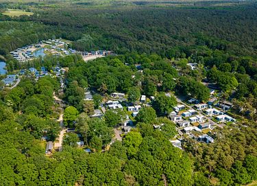 Logement de vacances au milieu de la forêt - 2