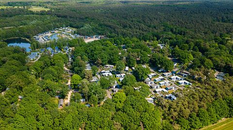 Logement de vacances au milieu de la forêt - 2