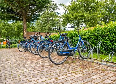 Houten trekkershut vlakbij Amsterdam - 19