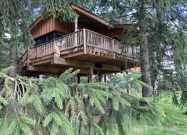 Boomhut Drenthe met groot terras - 11